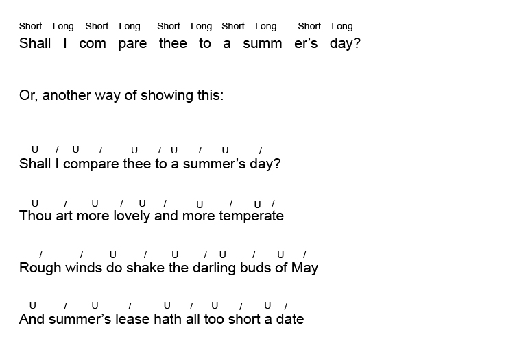 Image result for iambic pentameter