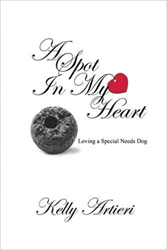 a spot in my heart readers choice winner