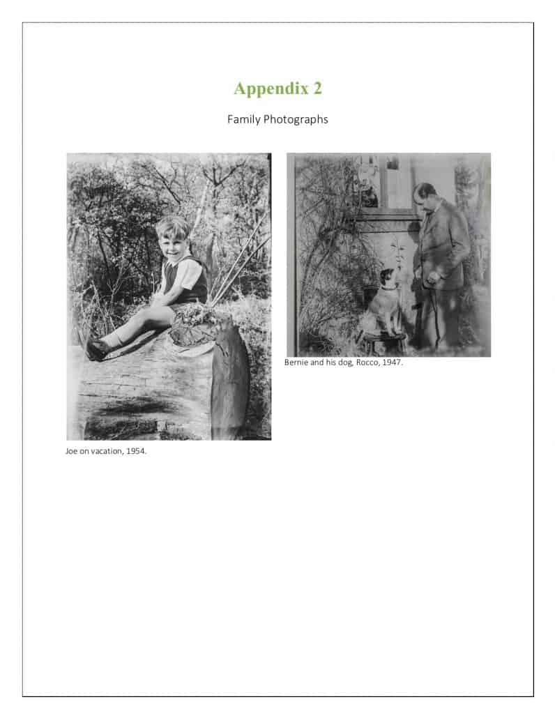 Appendix example