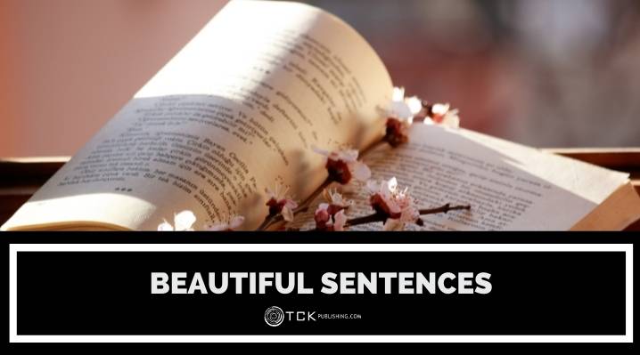 50 Beautiful Sentences From Literature that Will Take Your Breath Away