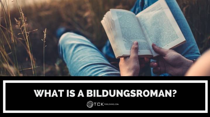 bildungsroman blog post image