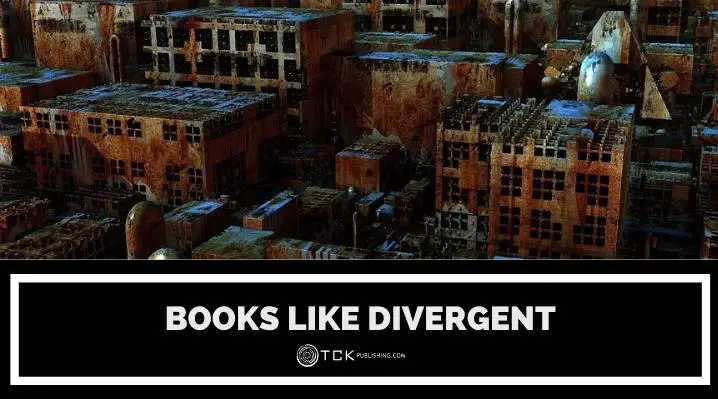 Books like divergent blog post image