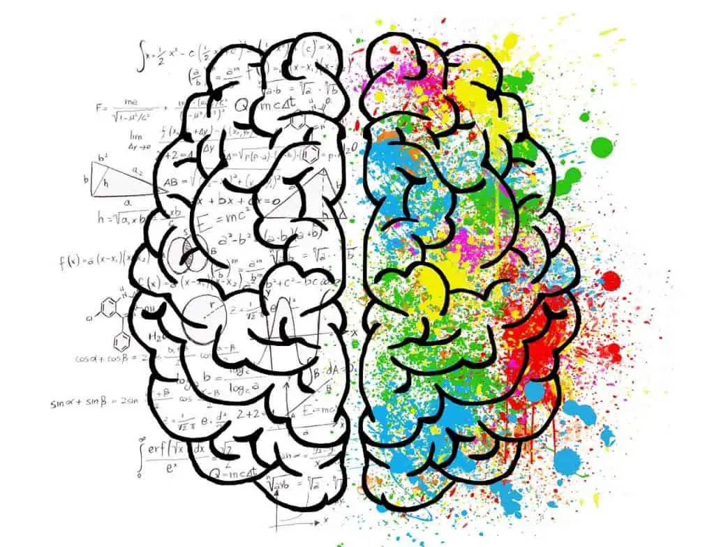 reading and iq brain image