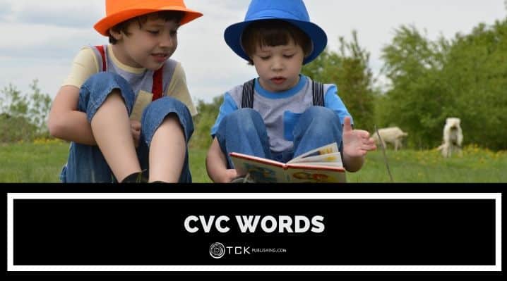 cvc words blog post image