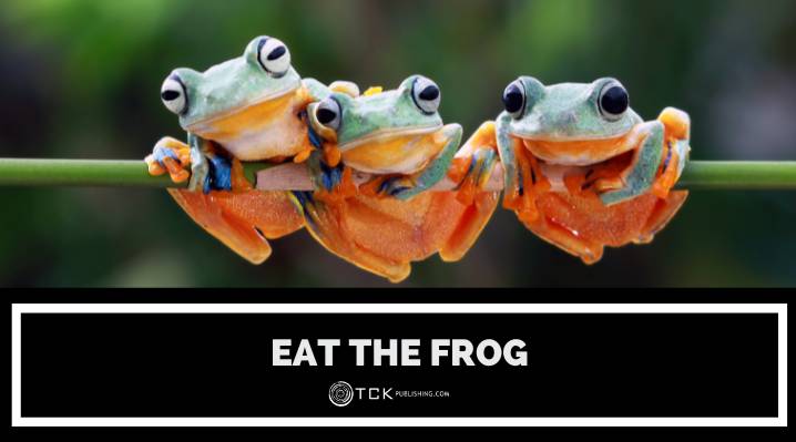 eat the frog blog post image