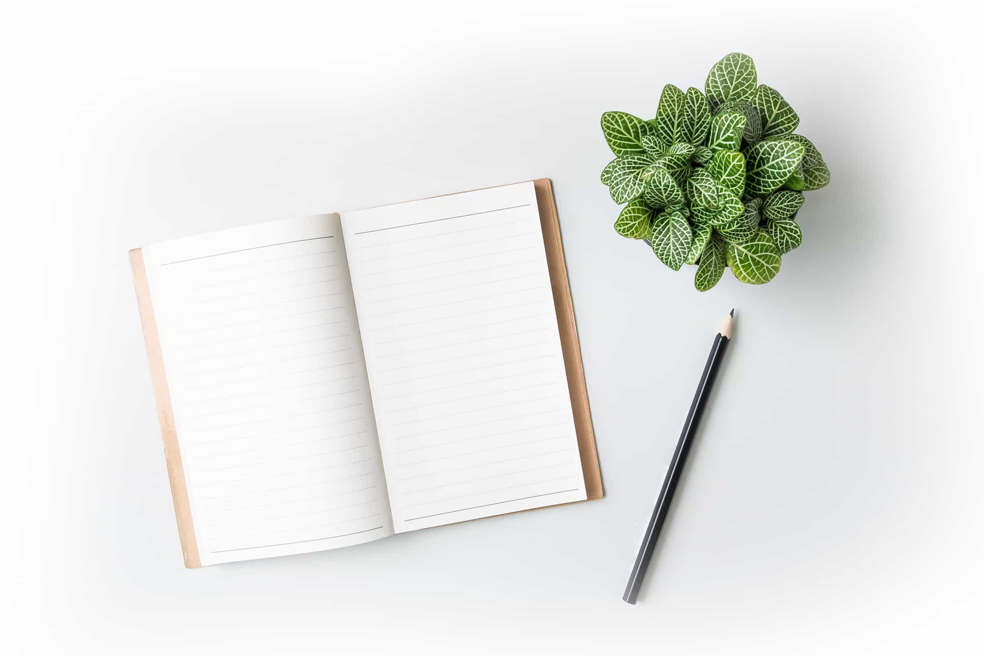 Top,View,Open,Notebook,,Pencil,And,Plant,Potted,On,White FAQ NFA