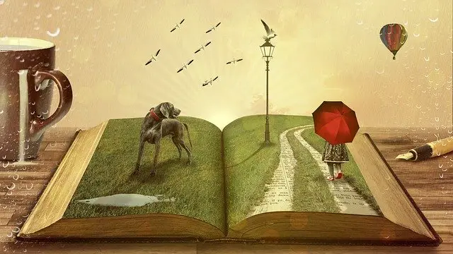 fiction book questions image