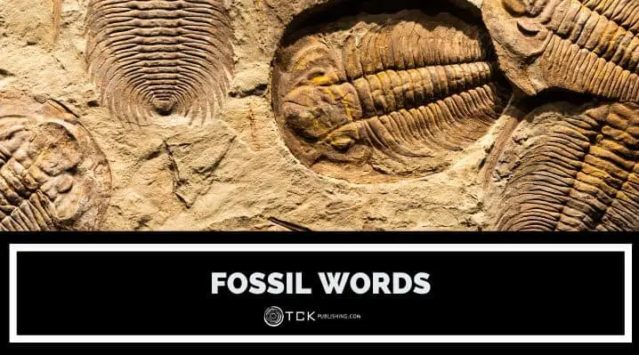 What are Fossil Words? Definition and Examples