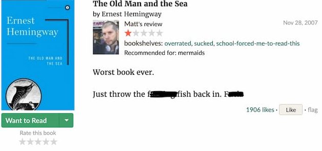 hemingway funny book review image