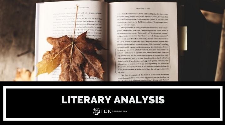 literary analysis blog post image