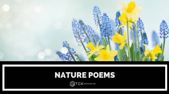 nature poems blog post image
