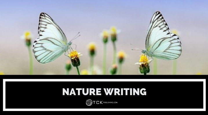 nature writing blog post image