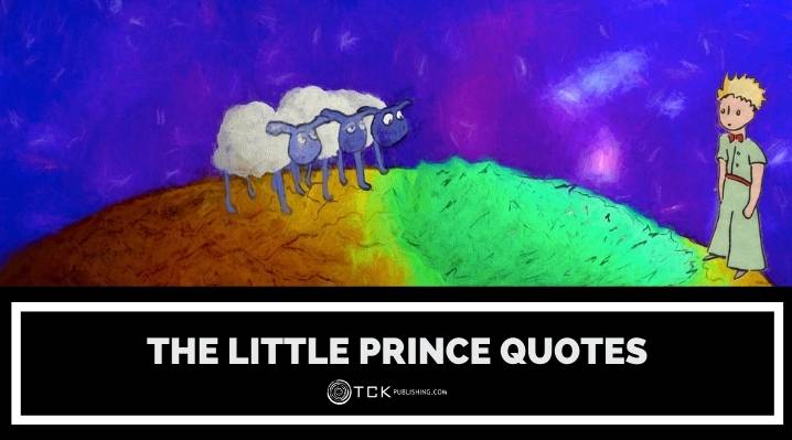 the little prince quotes blog post image