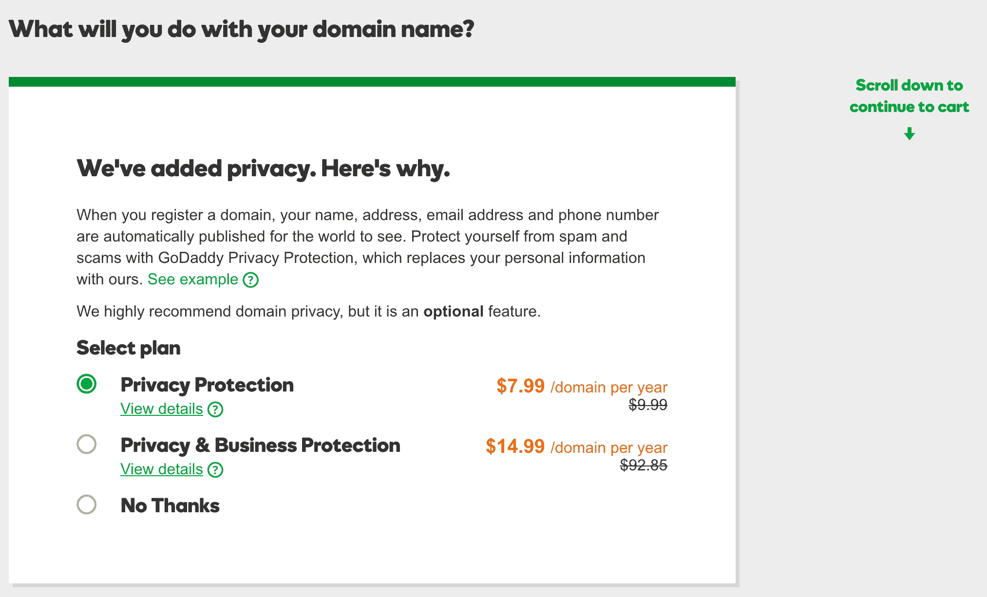 buying a website domain image