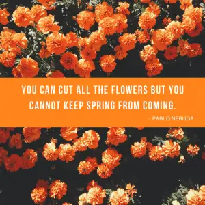 Pablo Neruda spring