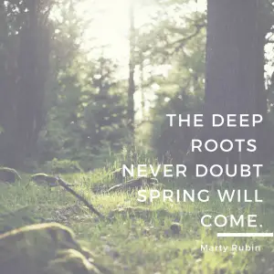 Marty Rubin quote