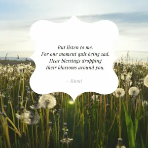 Rumi gratitude prayer
