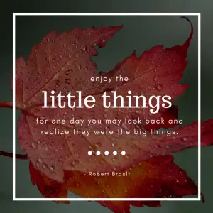 Robert Brault quote