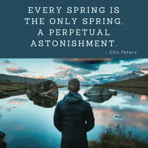Ellis Peters perpetual astonishment