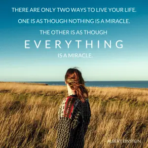 Albert Einstein quotes