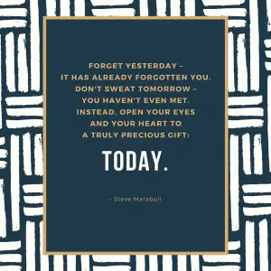 Steve Maraboli precious gift of today
