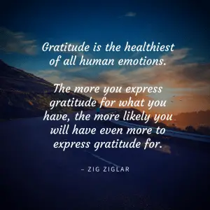 Zig Ziglar quote