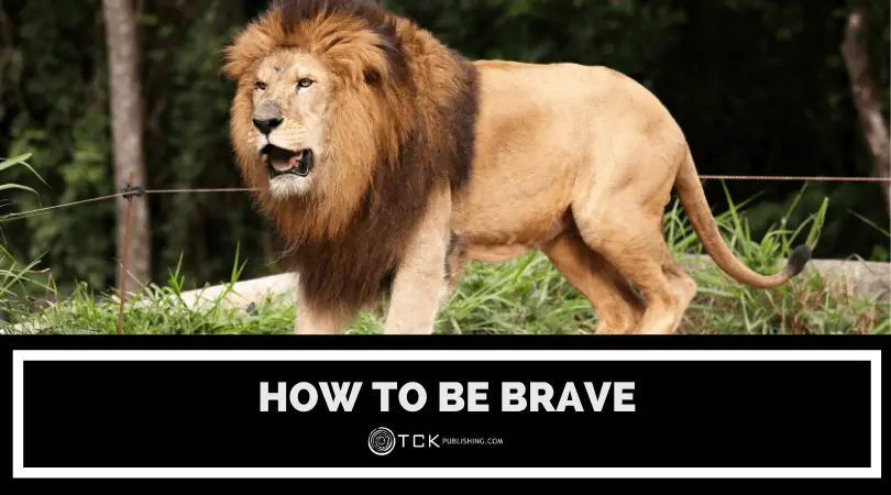 how to be brave header image