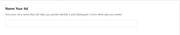 naming bookbub ads image