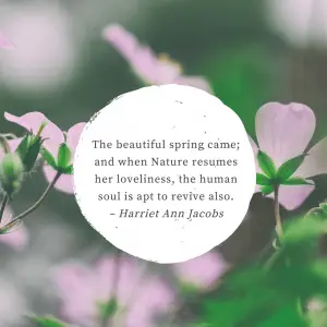 Harriet Ann Jacobs nature resumes her loveliness