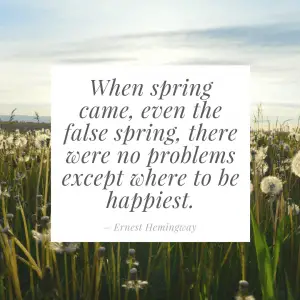 Ernest Hemingway quote