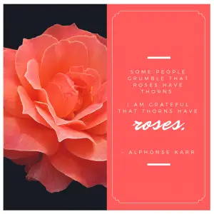 Alphonse Karr on roses