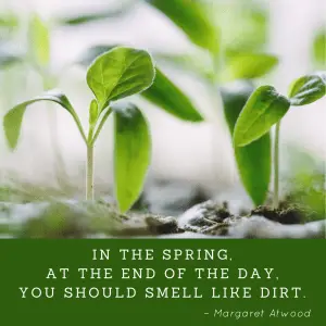 Margaret Atwood in the spring